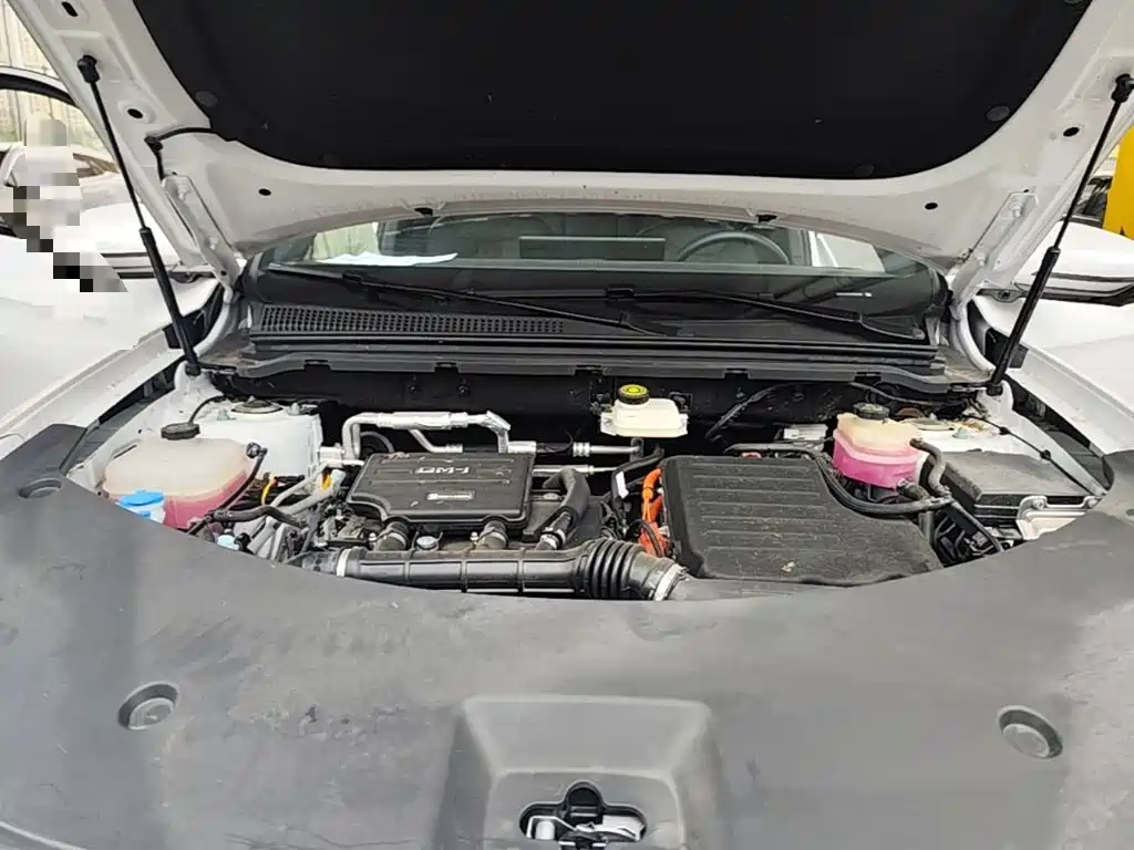 BYD Pro New Energy — фото 20