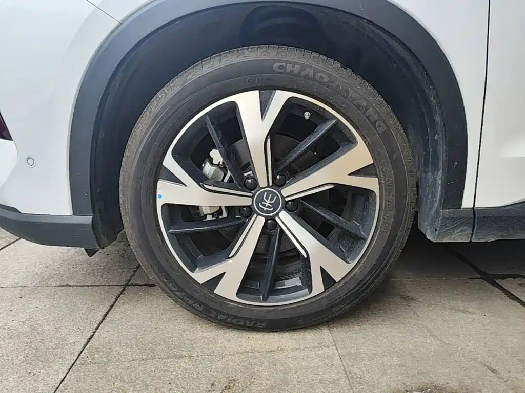 BYD Pro New Energy — фото 23