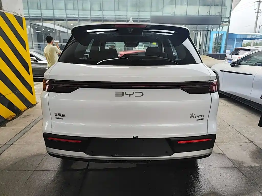 BYD Pro New Energy — фото 6
