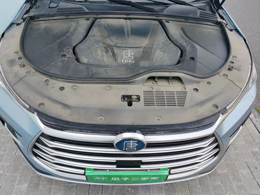BYD Tang New Energy — фото 11
