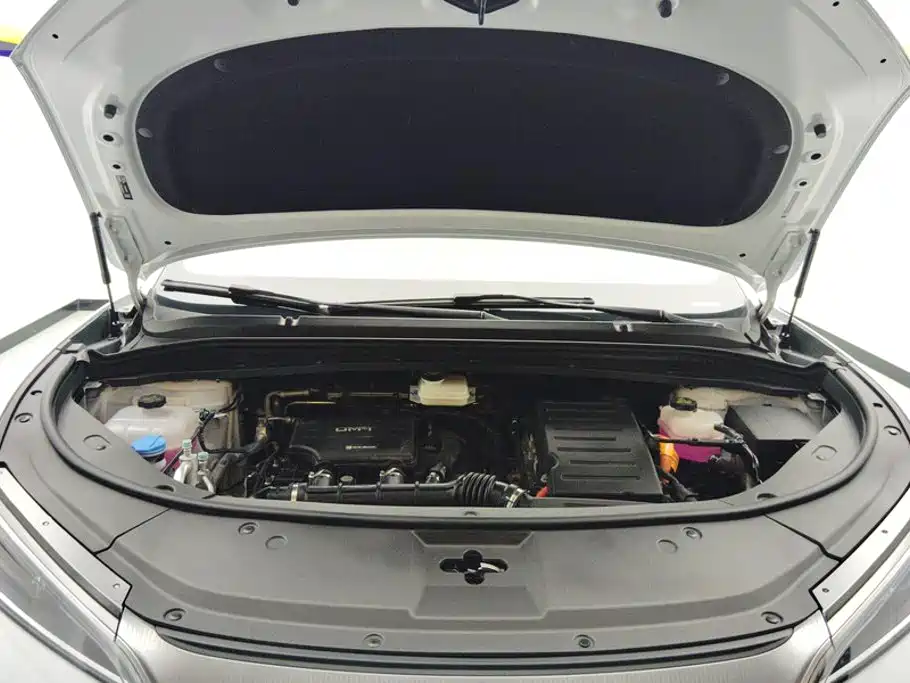 BYD L DM-i — фото 10