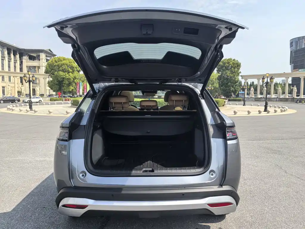 BYD L DM-i — фото 10