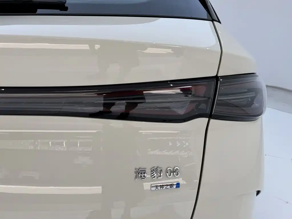 BYD Seal 06 DM-i Touring — фото 8