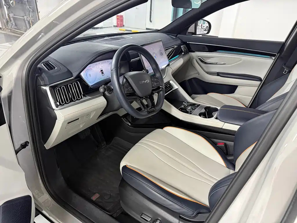 BYD PLUS New Energy — фото 4