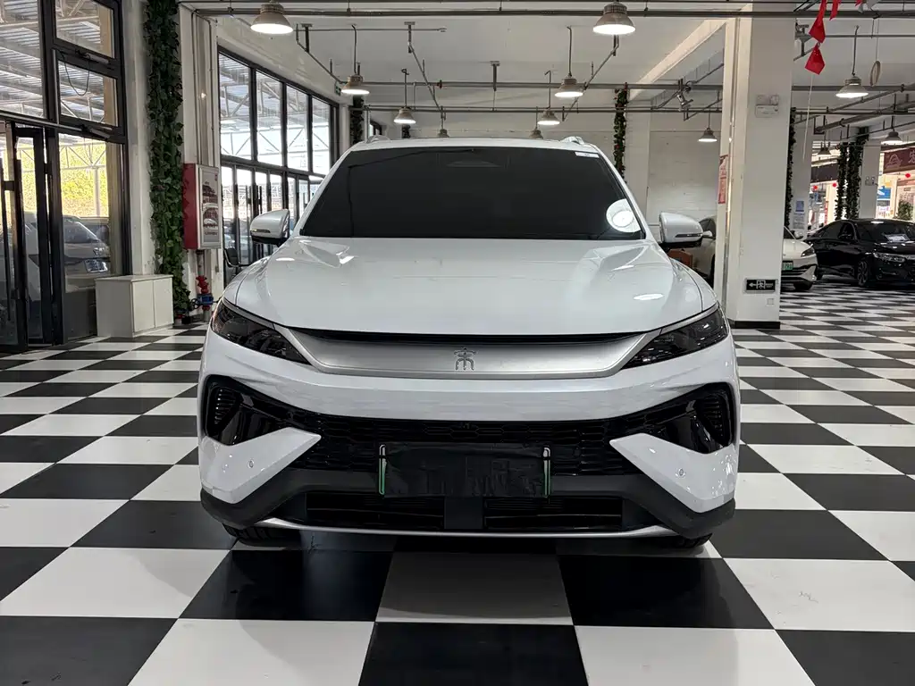BYD Pro New Energy — фото 2