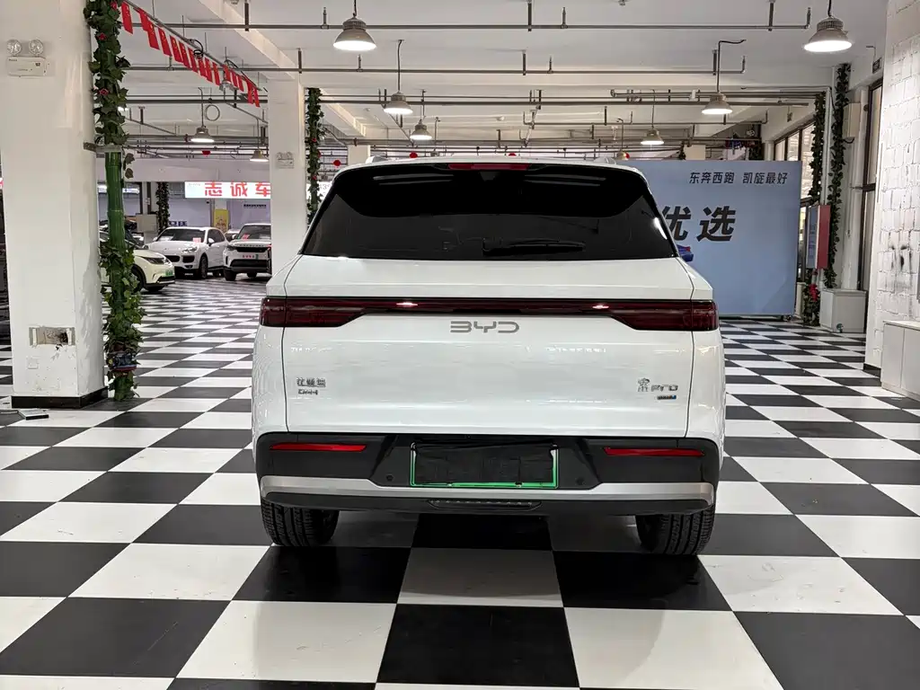 BYD Pro New Energy — фото 5