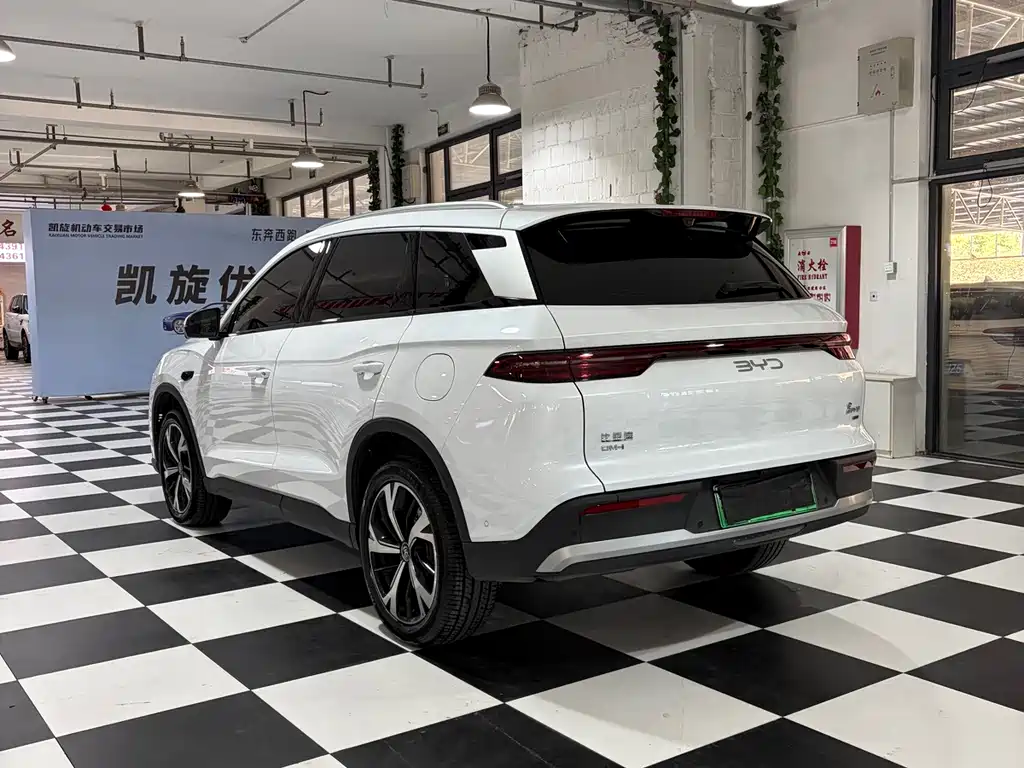 BYD Pro New Energy — фото 6