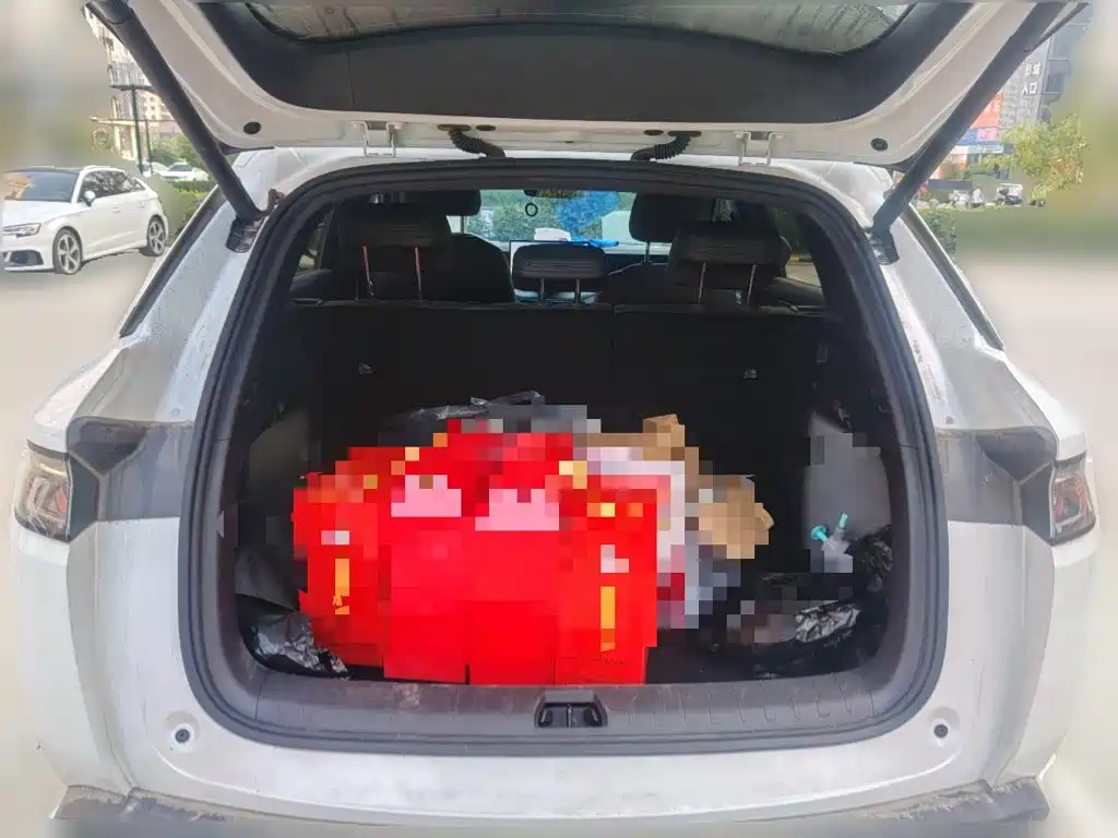 BYD L DM-i — фото 15