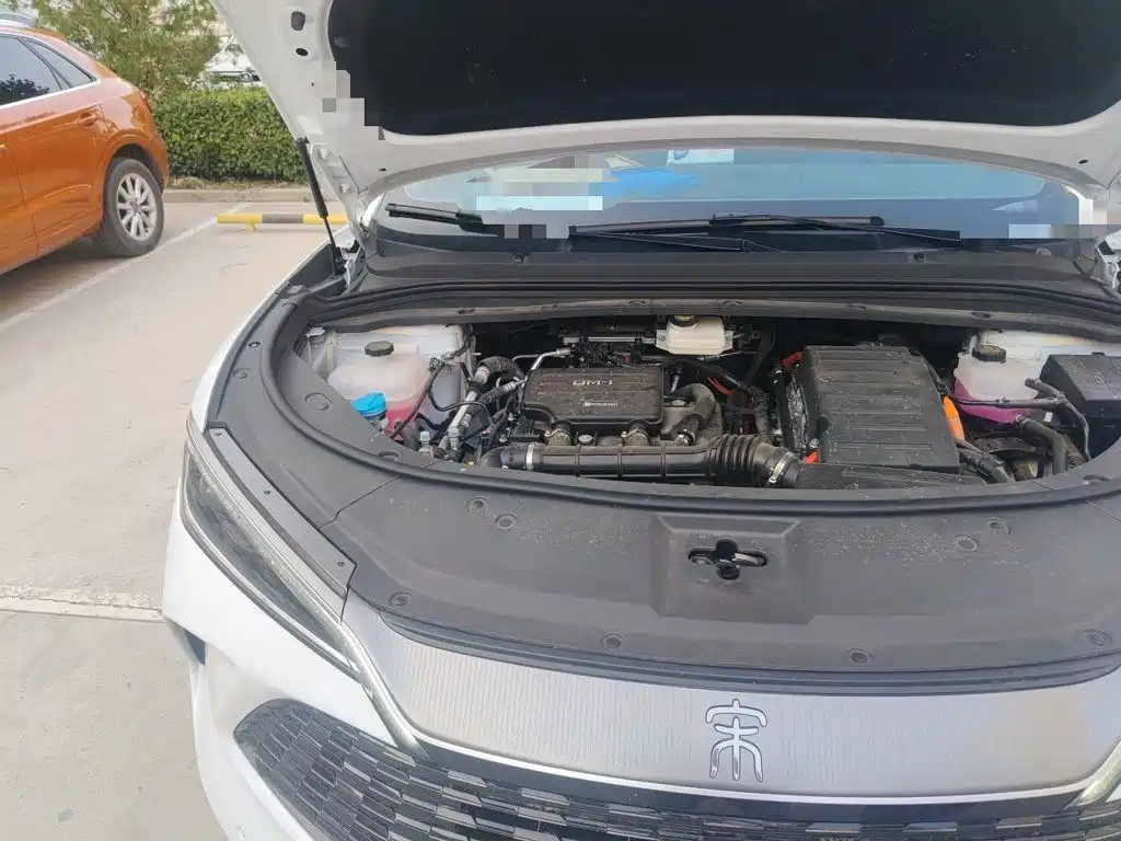 BYD L DM-i — фото 21