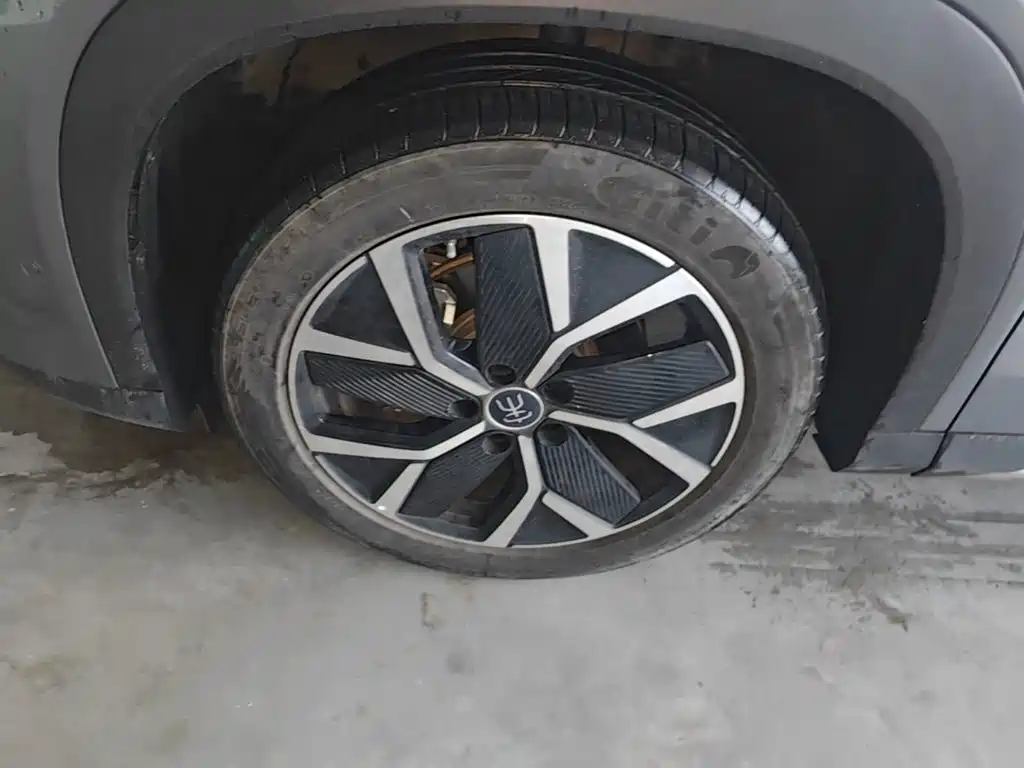 BYD L DM-i — фото 23