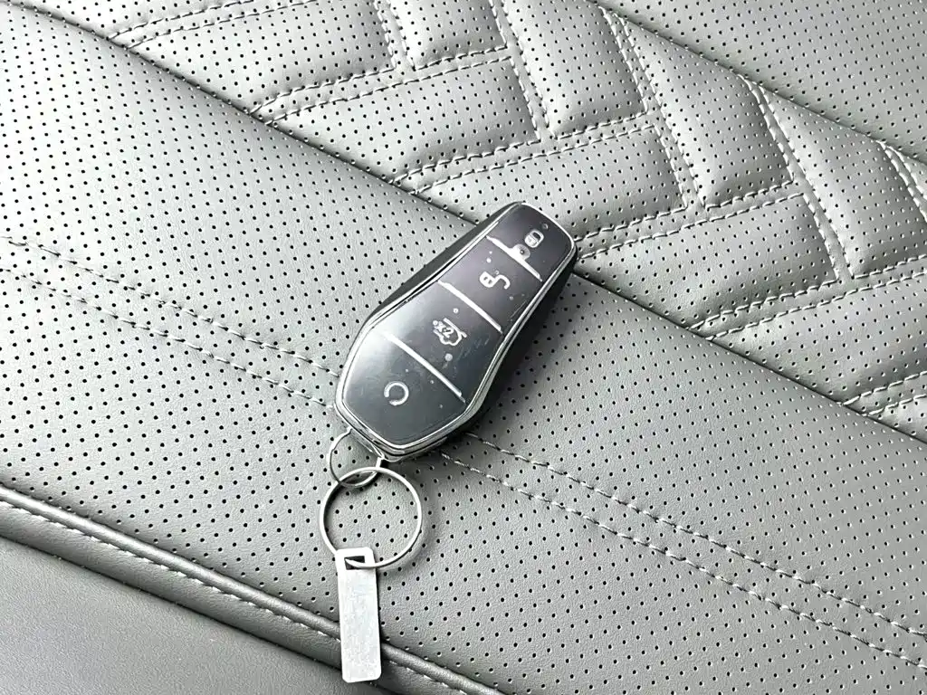 BYD L DM-i — фото 11