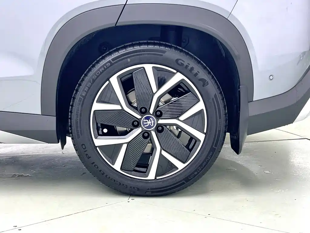 BYD L DM-i — фото 3