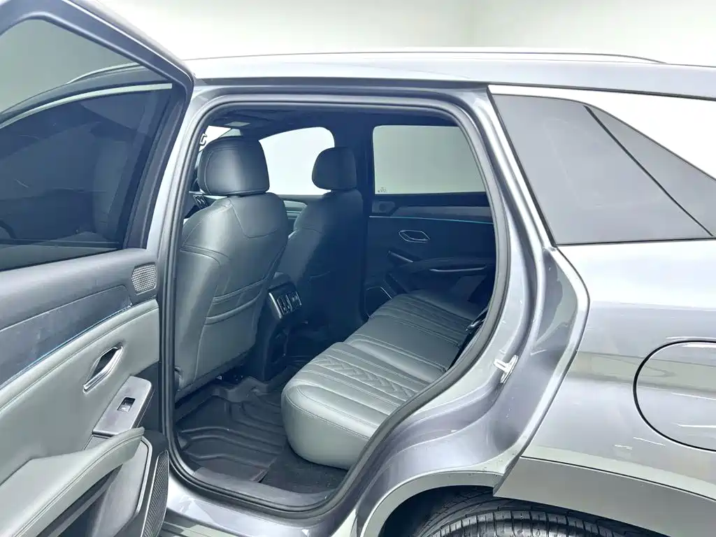 BYD L DM-i — фото 7