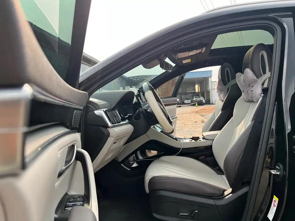 BYD PLUS New Energy — фото 4