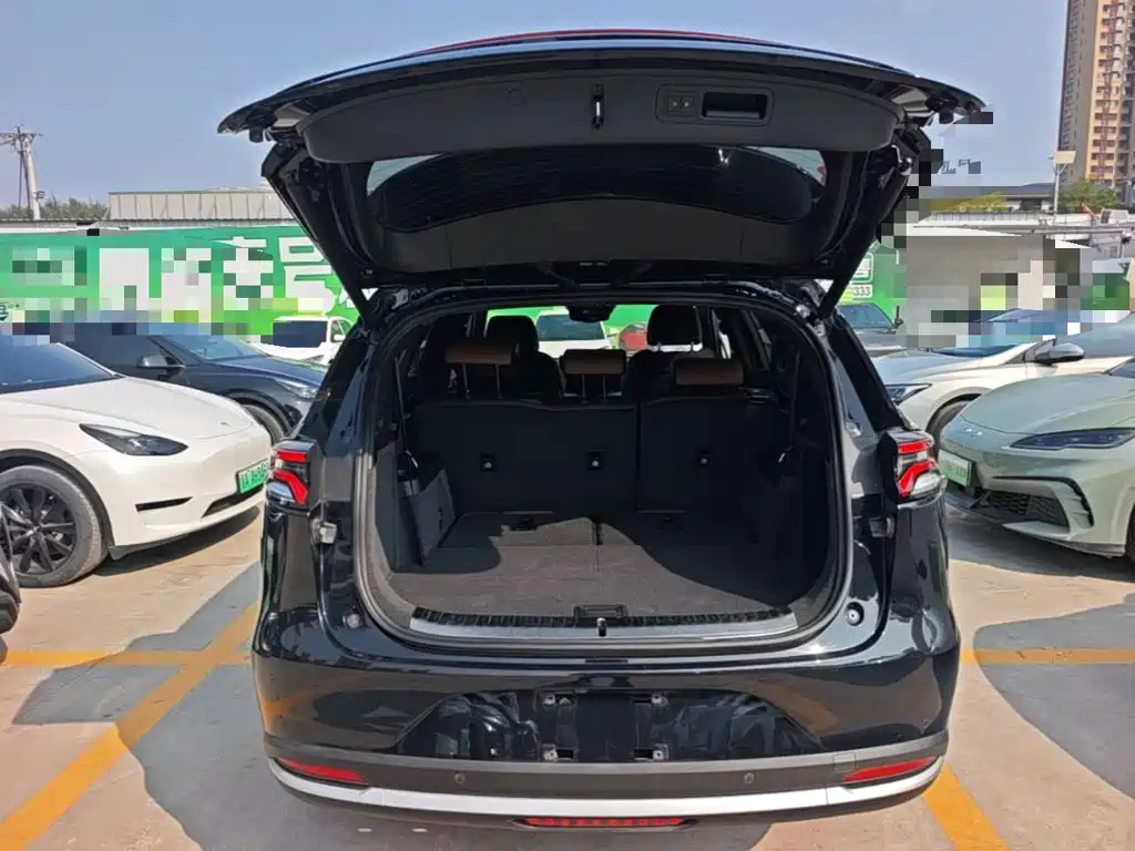 BYD Tang New Energy — фото 19