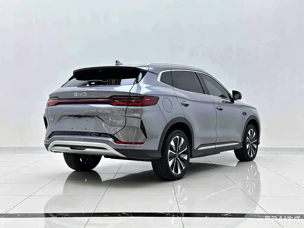 BYD PLUS New Energy — фото 4