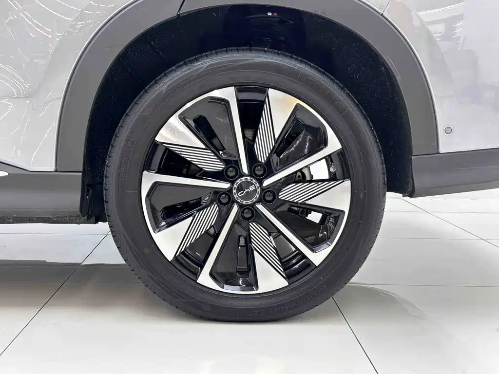 BYD PLUS New Energy — фото 7