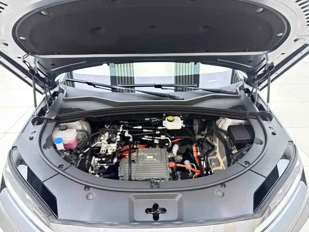 BYD PLUS New Energy — фото 8