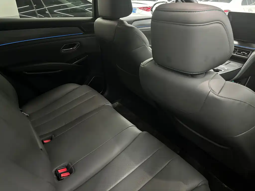 BYD L DM-i — фото 6