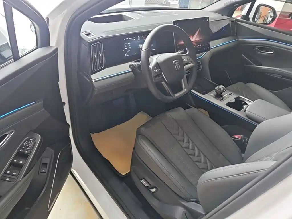 BYD L DM-i — фото 16