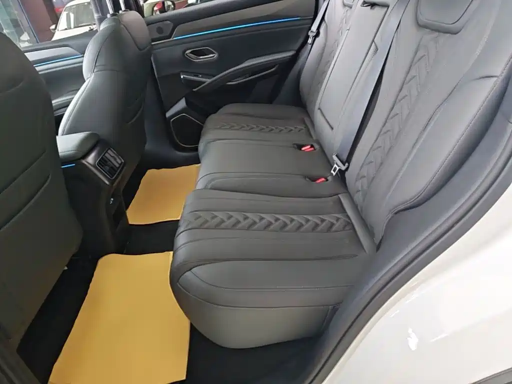 BYD L DM-i — фото 17