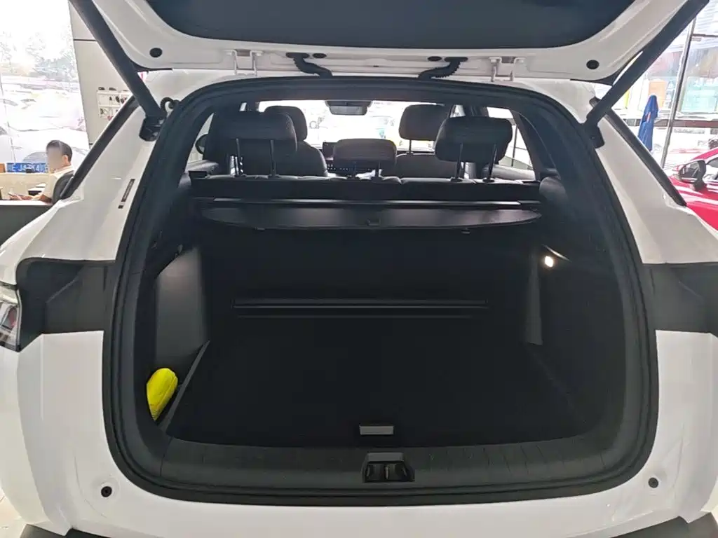 BYD L DM-i — фото 19