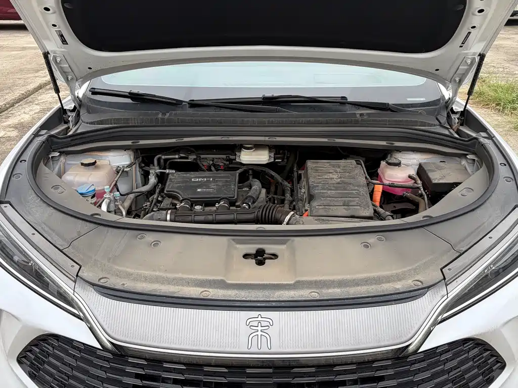 BYD L DM-i — фото 11