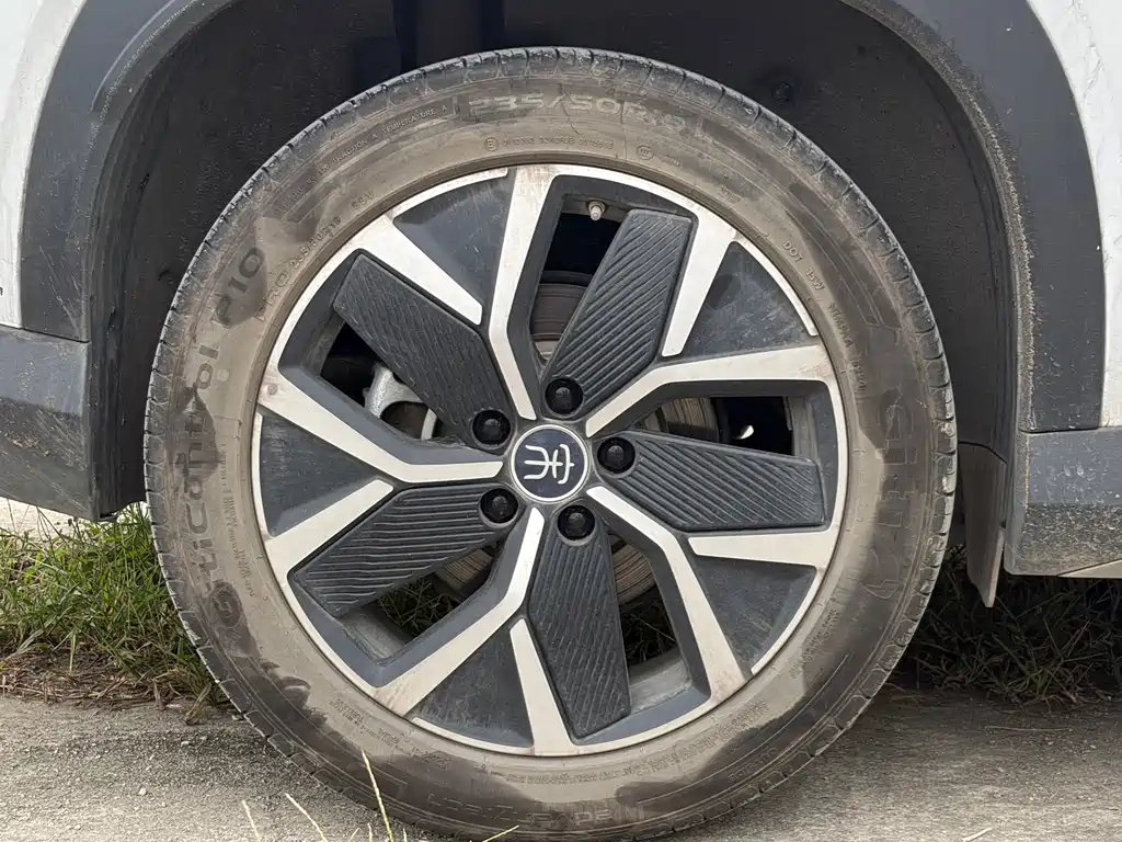 BYD L DM-i — фото 13