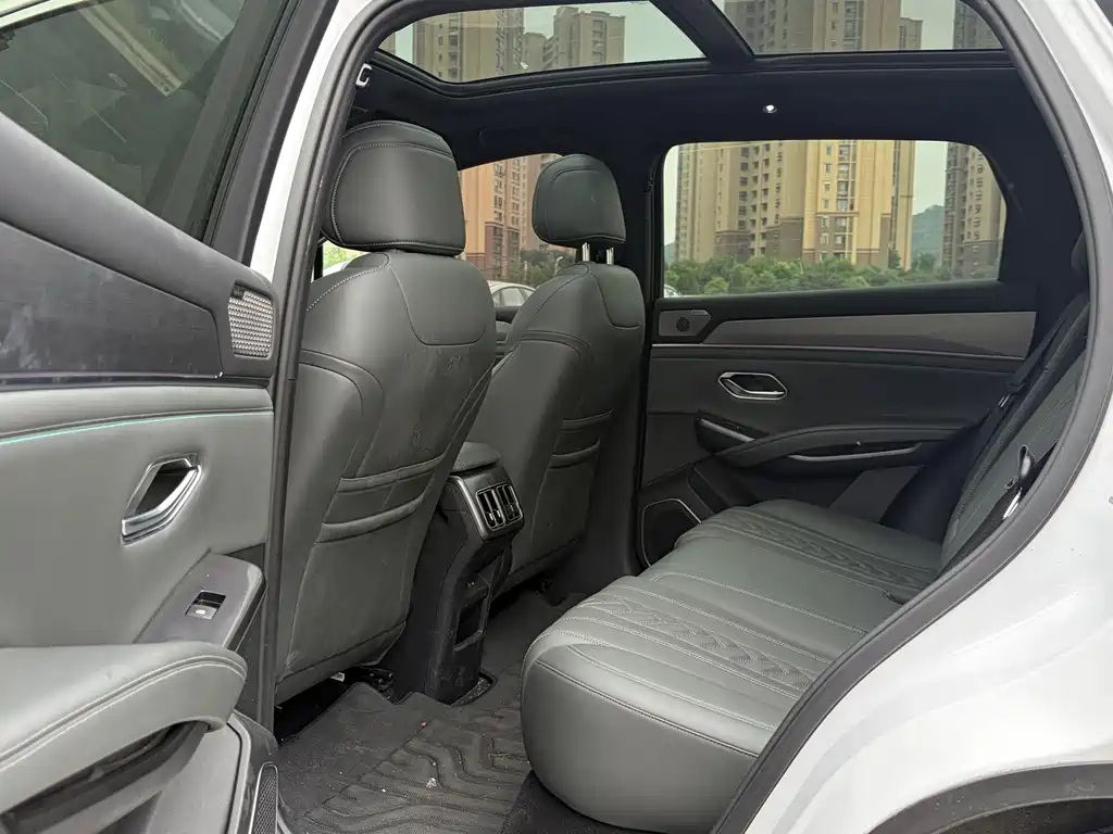BYD L DM-i — фото 15