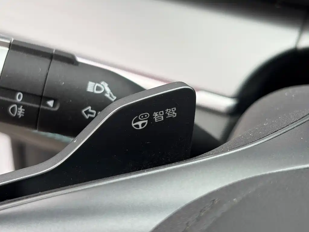 BYD L DM-i — фото 19