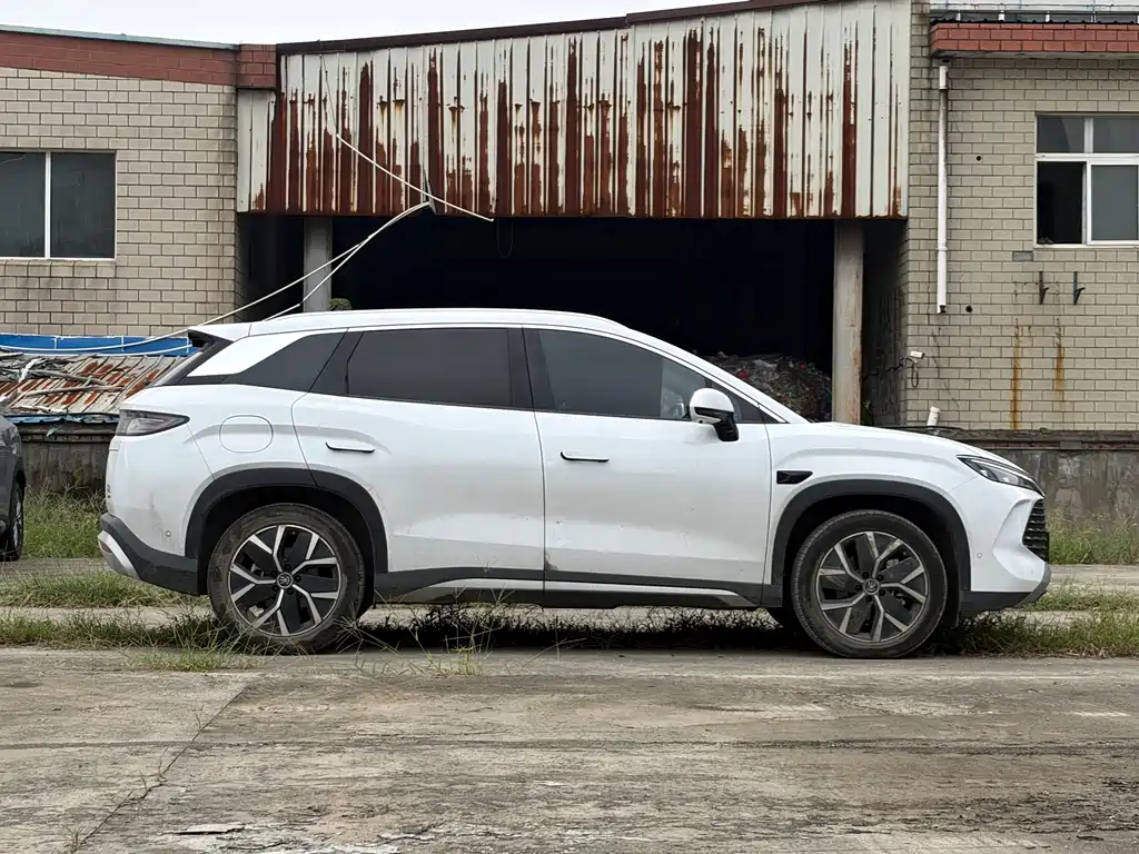BYD L DM-i — фото 8