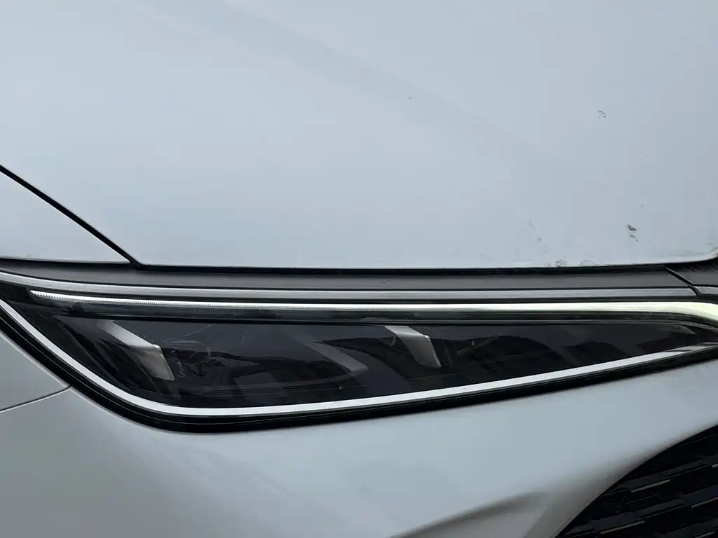 BYD L DM-i — фото 9