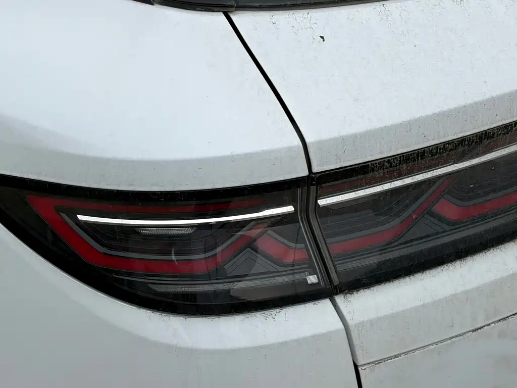 BYD L DM-i — фото 10
