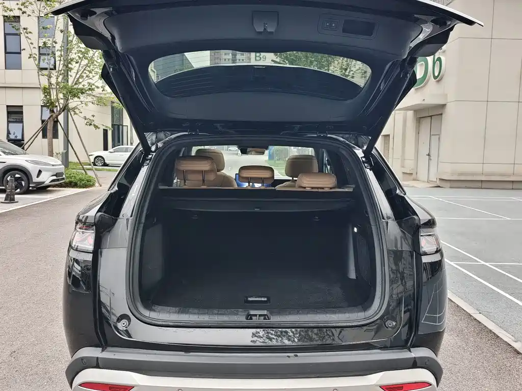 BYD L DM-i — фото 11