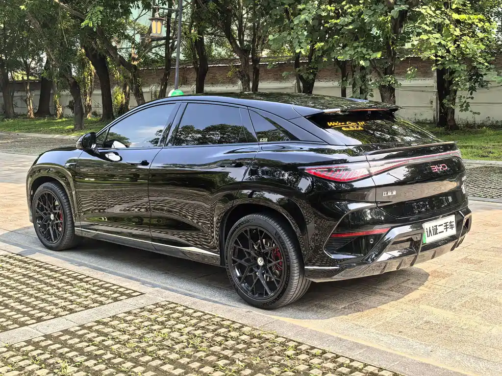 BYD Sealion 07 EV — фото 15