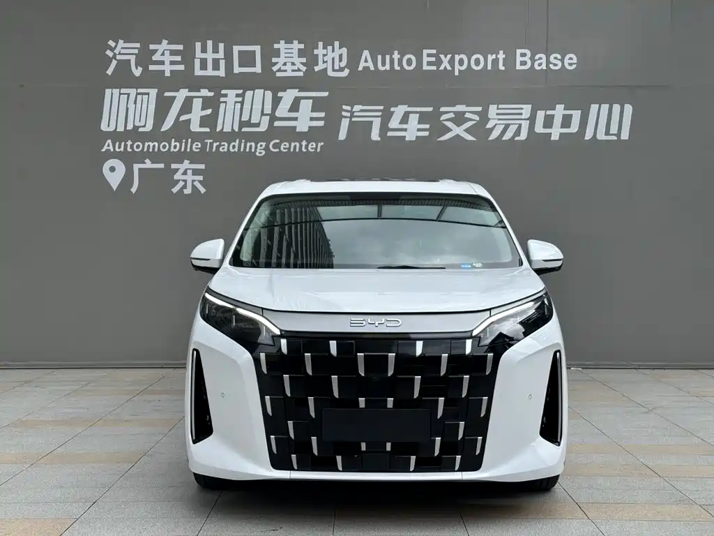 BYD M9 — фото 2