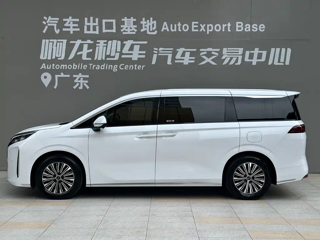 BYD M9 — фото 3