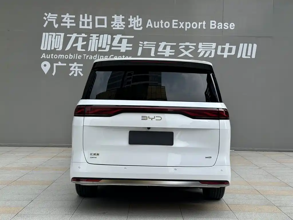BYD M9 — фото 4