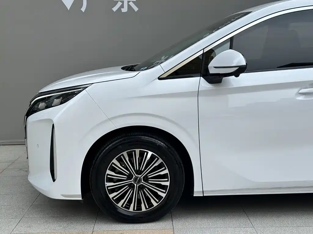 BYD M9 — фото 5