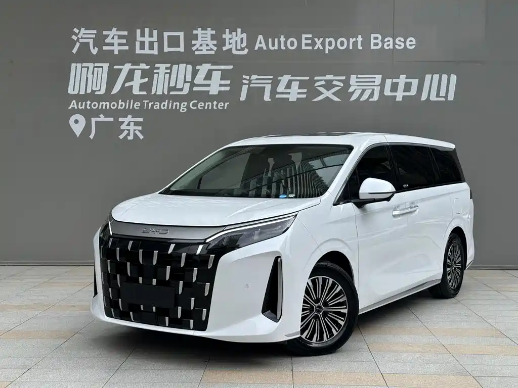 BYD M9