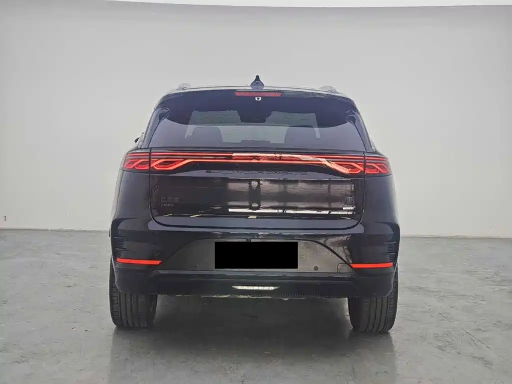 BYD Tang New Energy — фото 11
