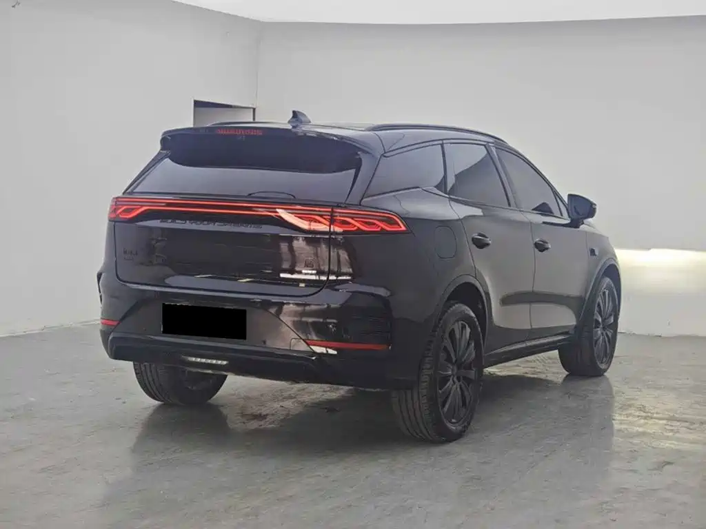 BYD Tang New Energy — фото 13