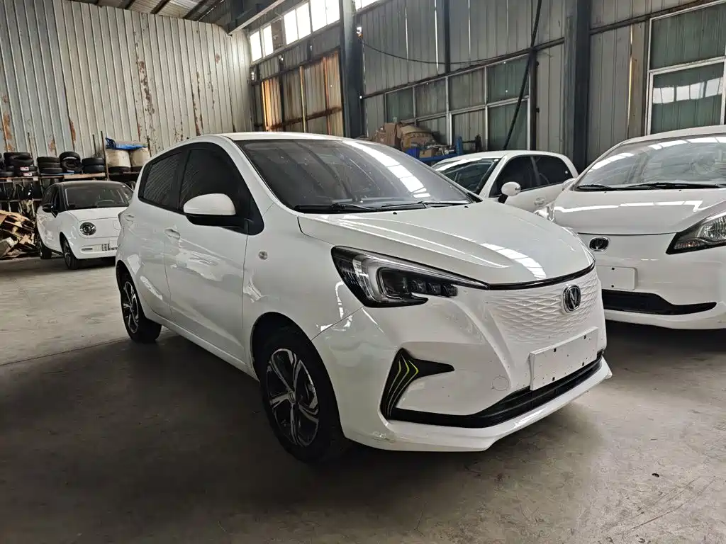 Changan Benben E-Star — фото 4