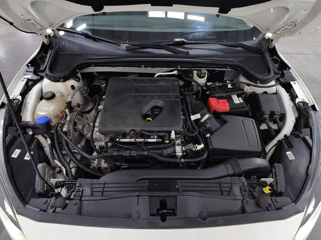 Ford Focus Active — фото 6