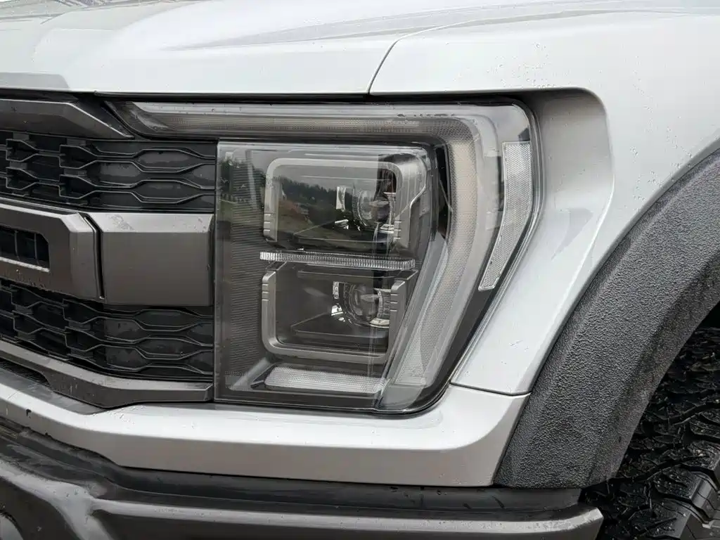 Ford F-150 Raptor — фото 7