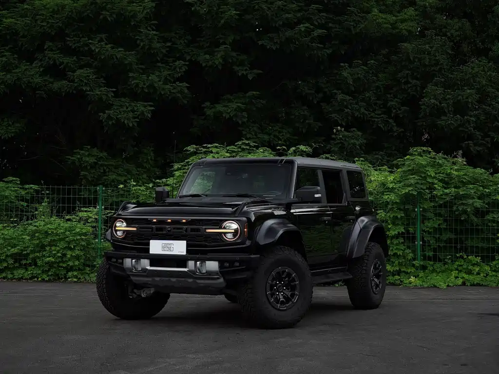 Ford Bronco (Import) — фото 2