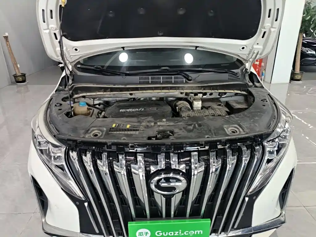 GAC Motor Trumpchi M8 — фото 20