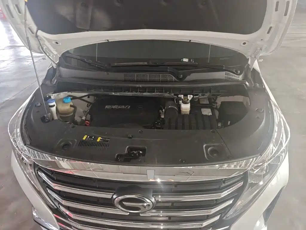 GAC Motor Trumpchi M8 — фото 20