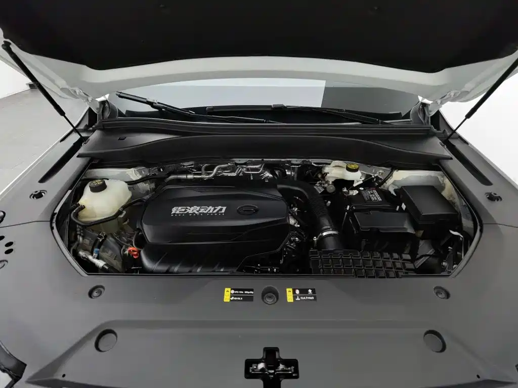 GAC Motor Trumpchi GS8 — фото 6