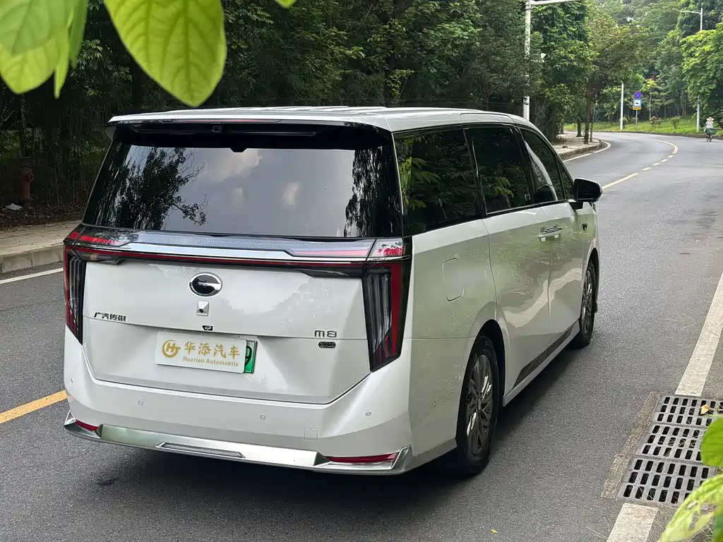 GAC Motor Trumpchi Xiangwang M8 — фото 4